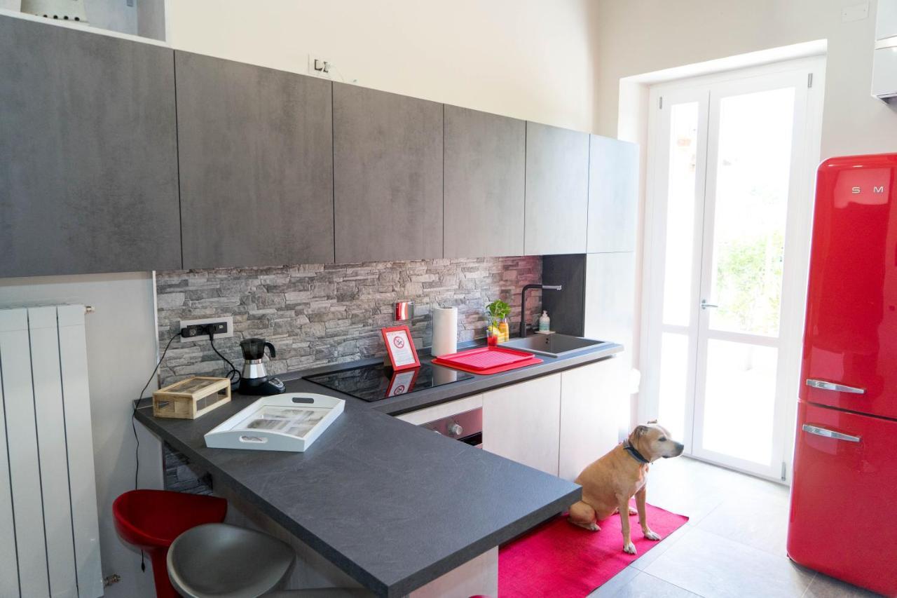 Apartament La Reggia Di Famiglia Venaria Reale Zewnętrze zdjęcie
